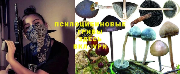 синтетический гашиш Абинск