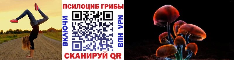 Псилоцибиновые грибы GOLDEN TEACHER  цены наркотик  Тетюши 